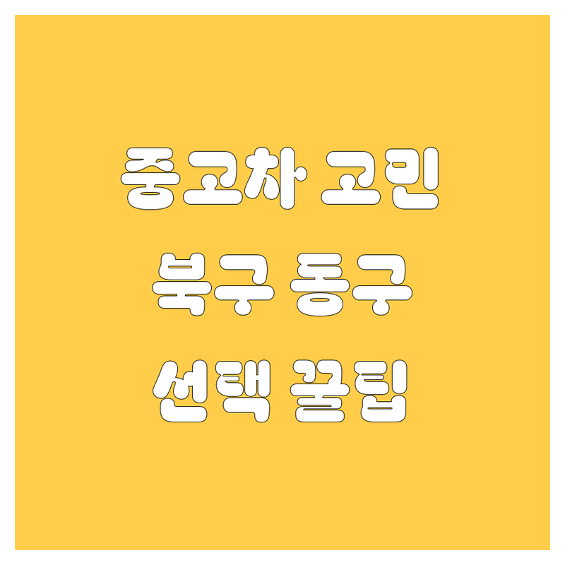 중고차 고민 해결! 대구 북구 동구 중고차 솔루션 | 전문가가 알려주는 선택 팁