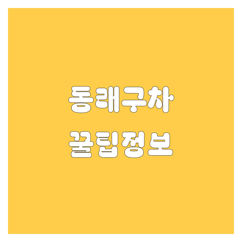 부산 동래구 자동차 정보 가이드 🚗✨