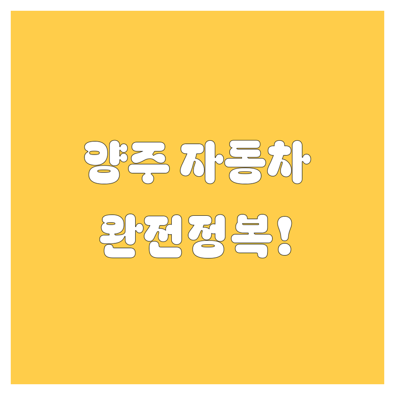 양주 자동차 완전정복! 운전면허부터 세차, 부품까지 🚗💨