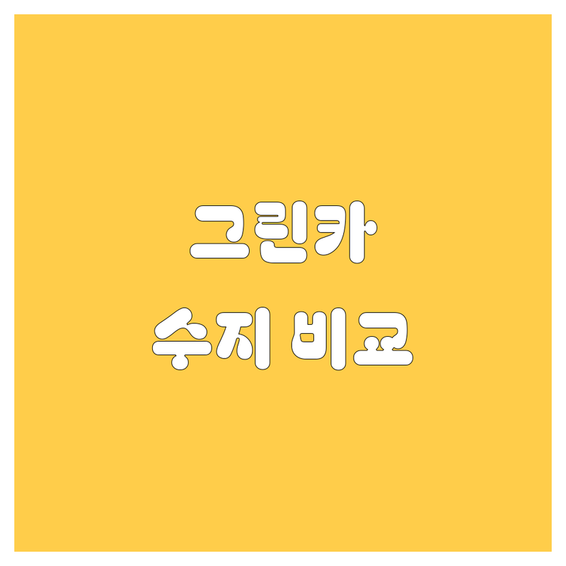 용인 수지 그린카 🚘 완벽 비교 | 2024 최신 정보