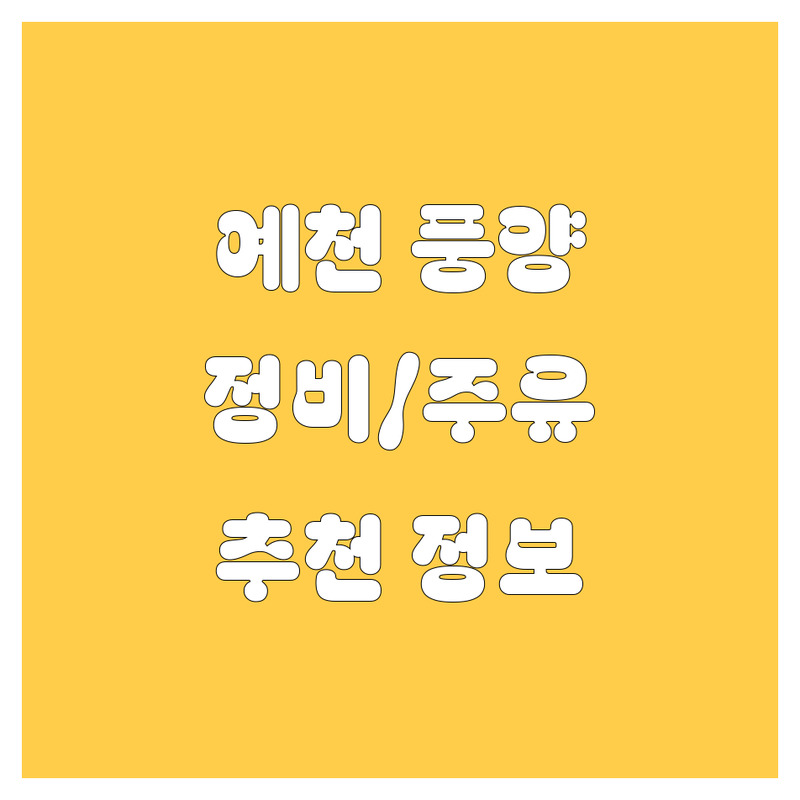 예천 풍양 자동차 정비/주유소 추천 | 2024 최신 정보