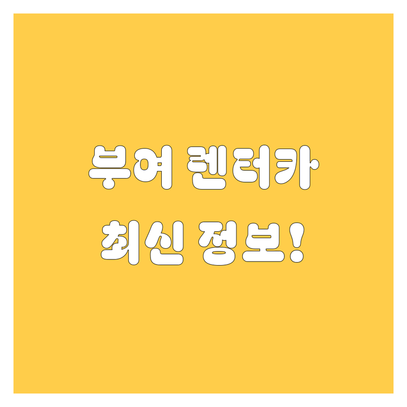 부여군 렌터카 한눈에 비교 | 2025년 최신 정보 총정리