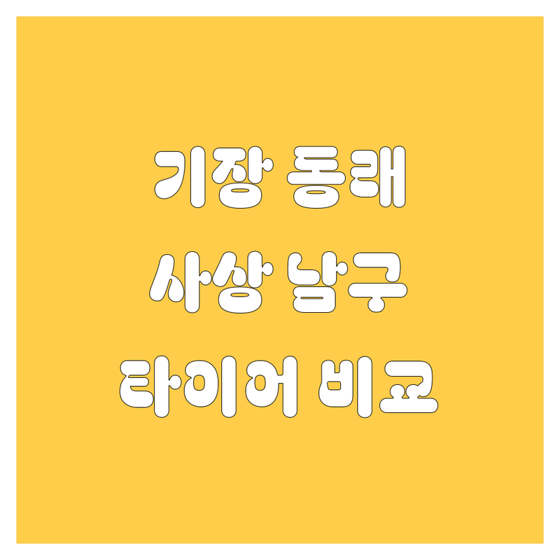 기장, 동래, 사상, 남구 타이어 교체 한눈에 비교 | 2025년 최신 정보 총정리