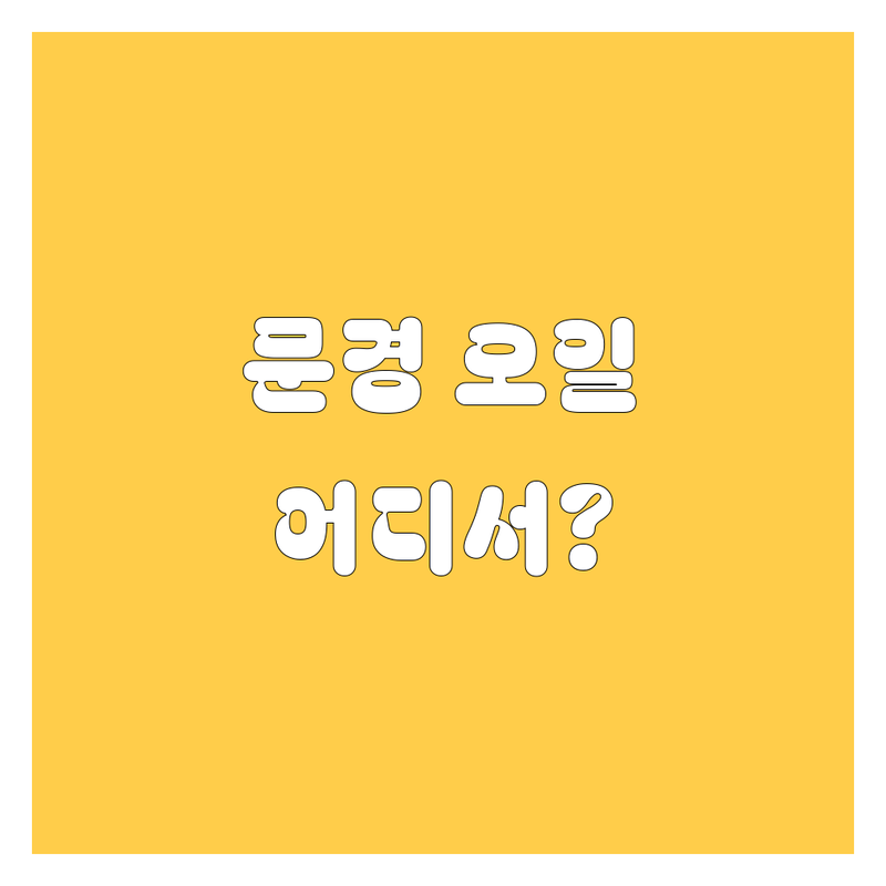 문경 엔진오일 교환, 어디서 해야 후회 없을까?