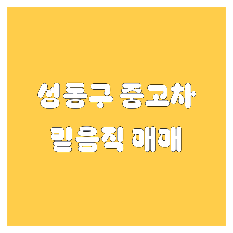 성동구 중고차, 🚗 믿음직한 매매단지 추천! 💯 직접 방문 후기 포함