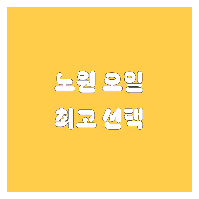 노원 엔진오일 교체, 현지인이 추천하는 BEST 선택