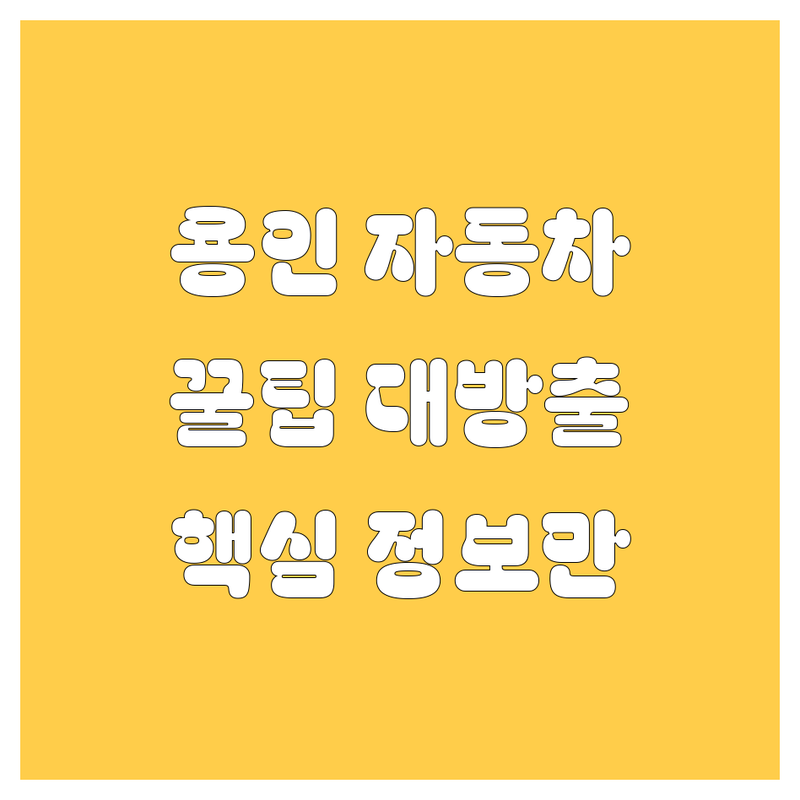 용인 자동차 꿀팁 대방출! 😎🚗