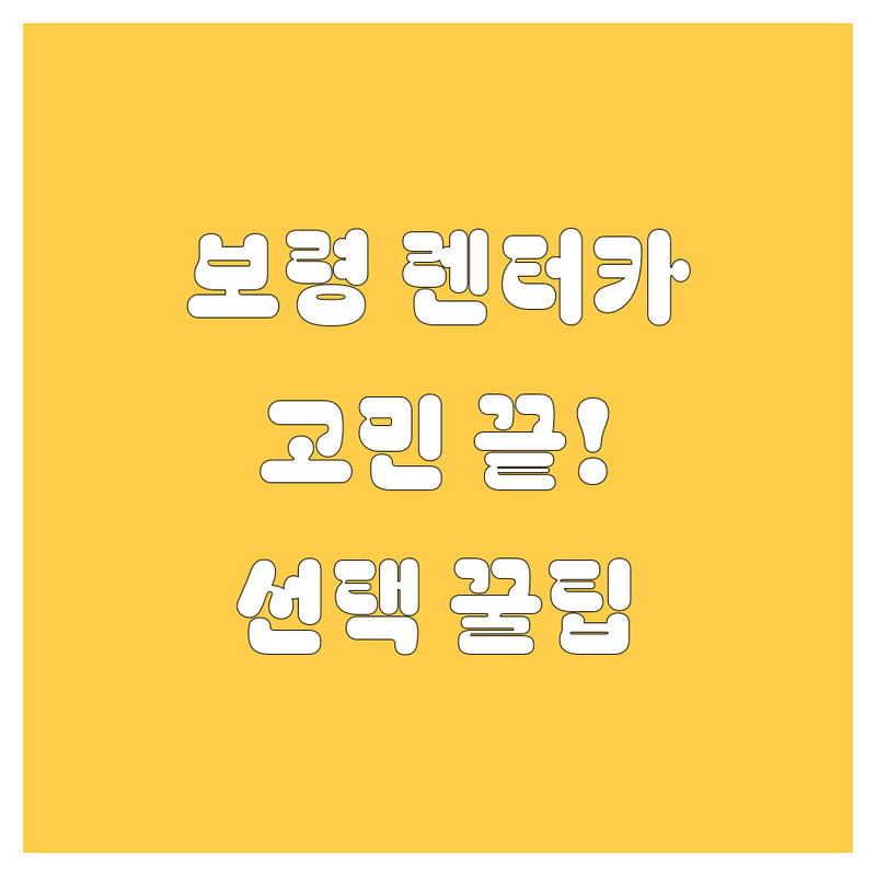 렌터카 고민 해결! 충남 보령시 렌터카 솔루션 | 전문가가 알려주는 선택 팁