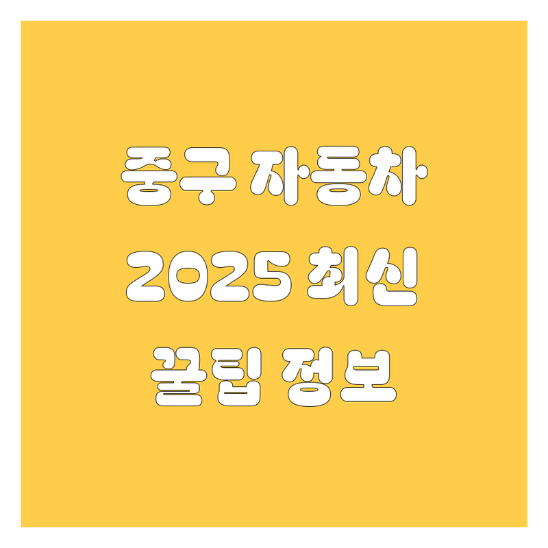 서울 중구 자동차 정보 총정리 | 2025년 최신 정보