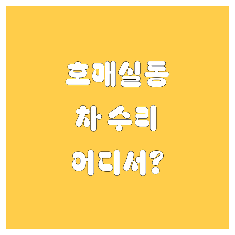 수원 호매실동 자동차 서비스, 어디서 해야 후회 없을까? 🤔