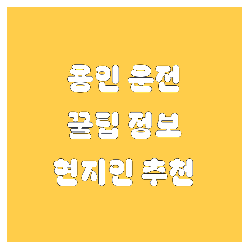 용인 자동차 운전학원 및 용품 정보 모음 | 현지인이 추천하는 BEST 선택
