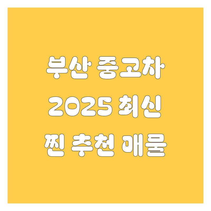 부산 중고차, 2025년 최신 정보! 믿고 사는 찐 추천 매물 여기 다 있네! 😎