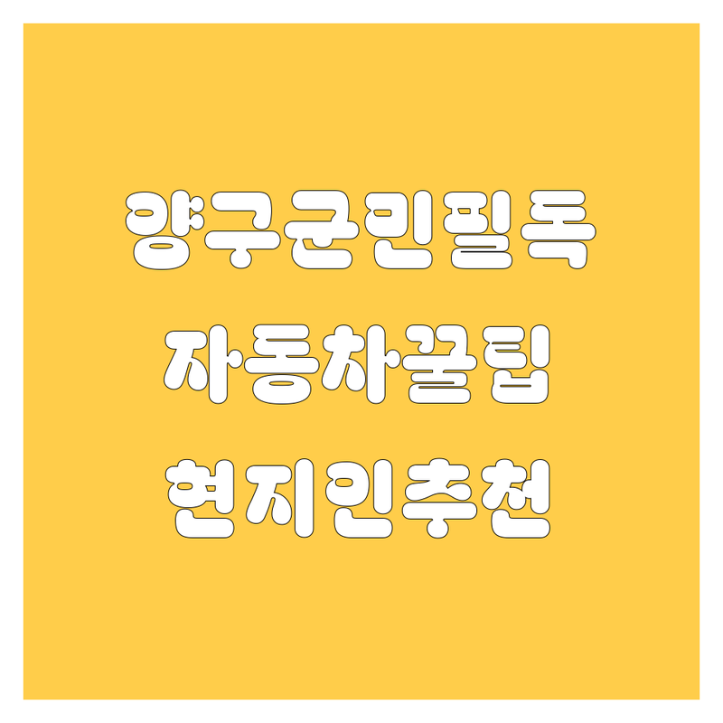 양구군 자동차 정보 모음 | 현지인이 추천하는 BEST 선택