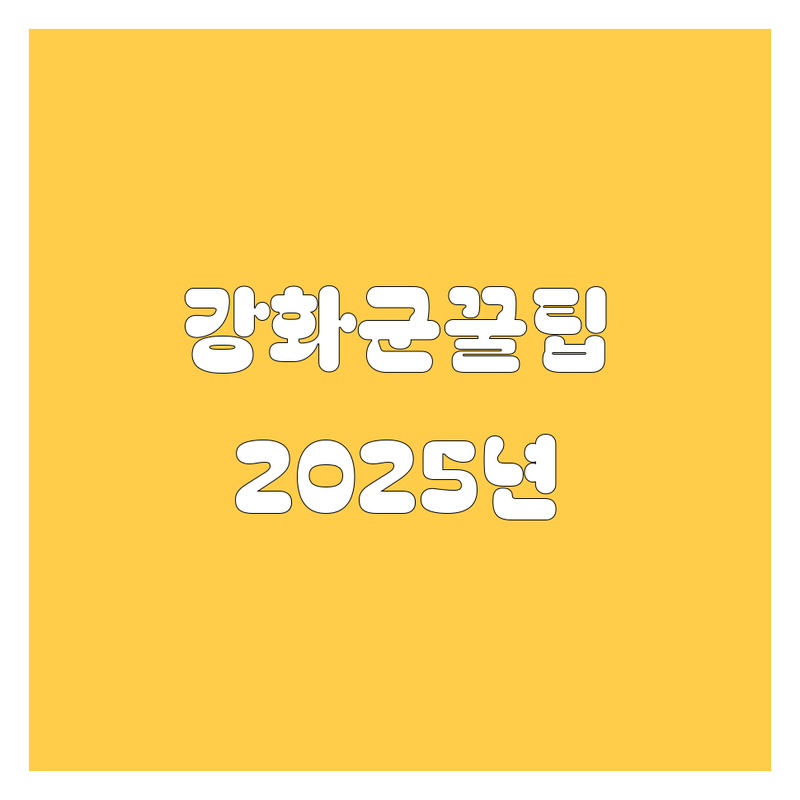 강화군 자동차 꿀팁 대방출! 🚗💨 2025년 풀정보 업데이트 완료!