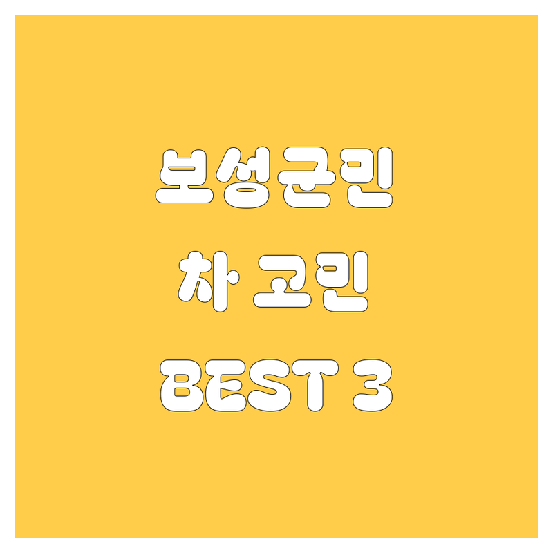 전남 보성군 자동차 고민 해결사! 🚘 전문가 추천 BEST 3