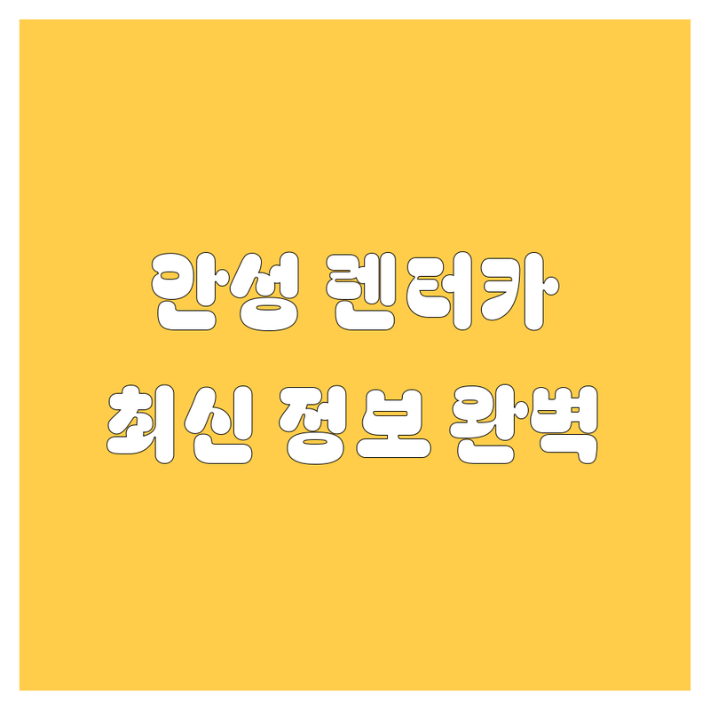 안성 렌터카, 가격부터 서비스까지 완벽 분석 | 2024 최신 정보