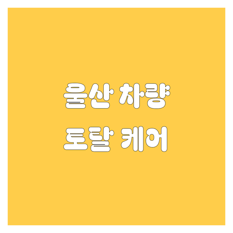 🚗 울산 자동차 썬팅, 타이어, 세차 완벽 가이드 🚗