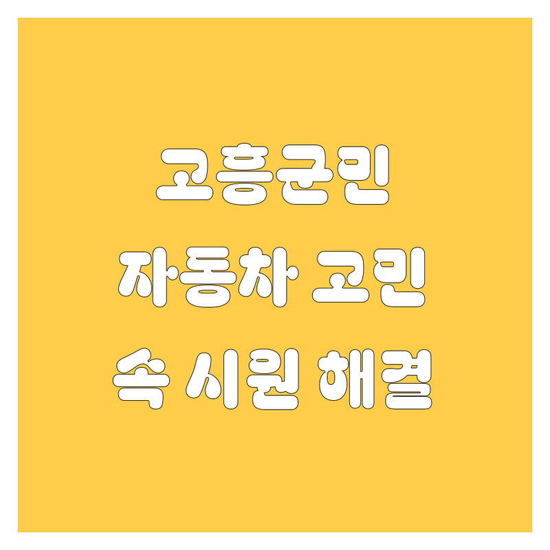 자동차 고민 해결! 전남 고흥군 자동차 솔루션 | 전문가가 알려주는 선택 팁