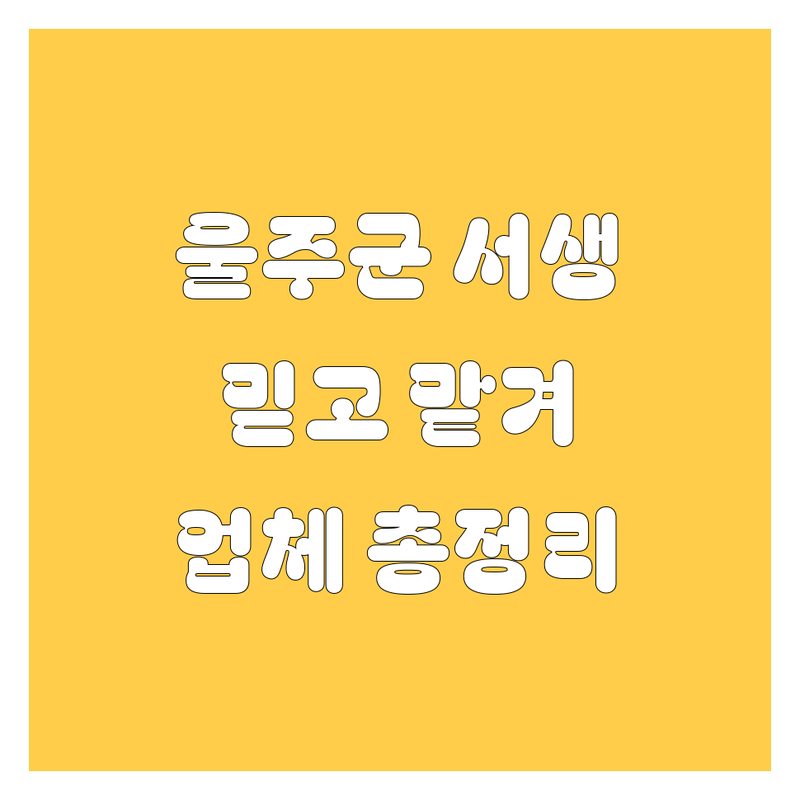 울주군 서생면 자동차 완전정복! 믿고 맡길 수 있는 업체 총정리