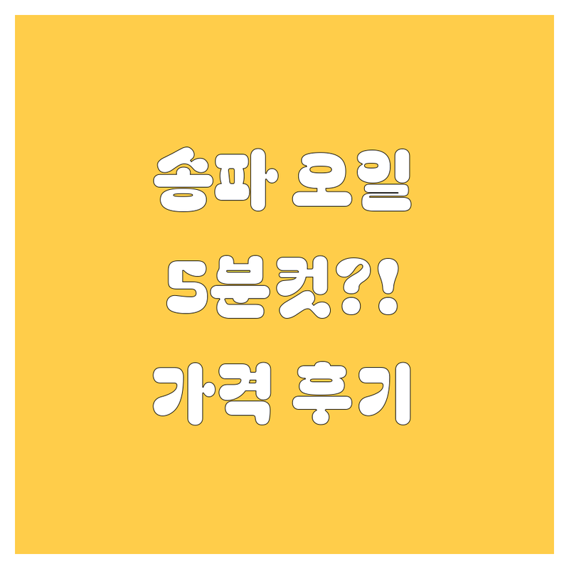 송파 엔진오일, 5분컷 쌉가능? 가격/후기 총정리!🚗💨