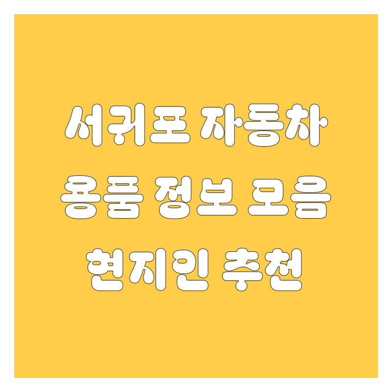 서귀포시 자동차 용품 정보 모음 | 현지인이 추천하는 BEST 선택