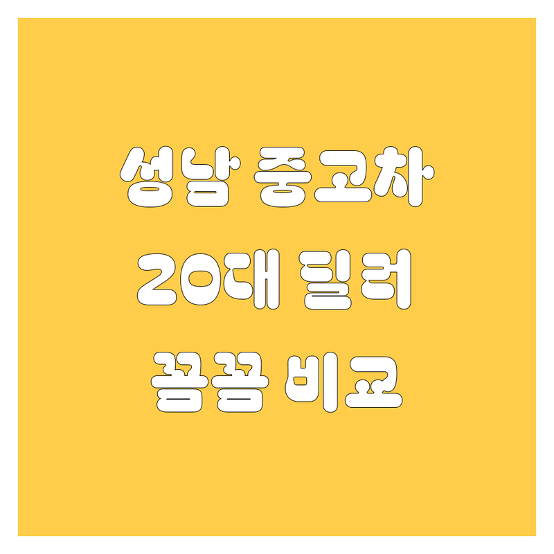 성남 중고차, 20대 딜러가 꼼꼼 비교! 후기/가격/매물 총정리