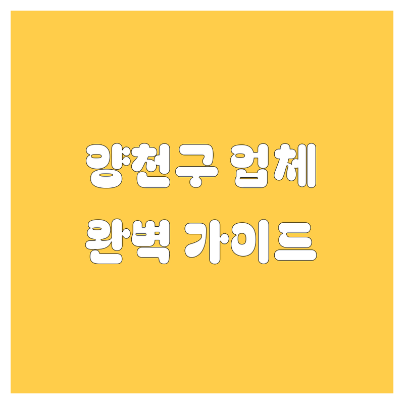 양천구 자동차 업체 추천 | 세차부터 중고차까지 완벽 가이드