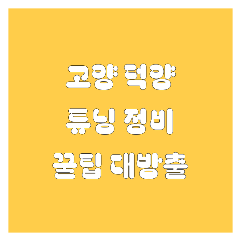 고양 덕양 자동차 튜닝/정비 꿀팁 대방출! 🚗💨 (2025년 에디션)