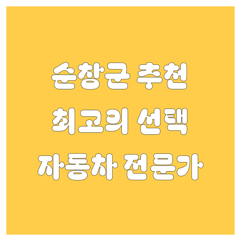 순창군 자동차 전문가들이 추천하는 최고의 선택!
