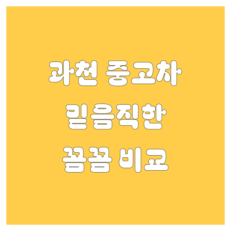 과천시 중고차, 믿음직한 선택! 꼼꼼 비교 가이드 🚗💨
