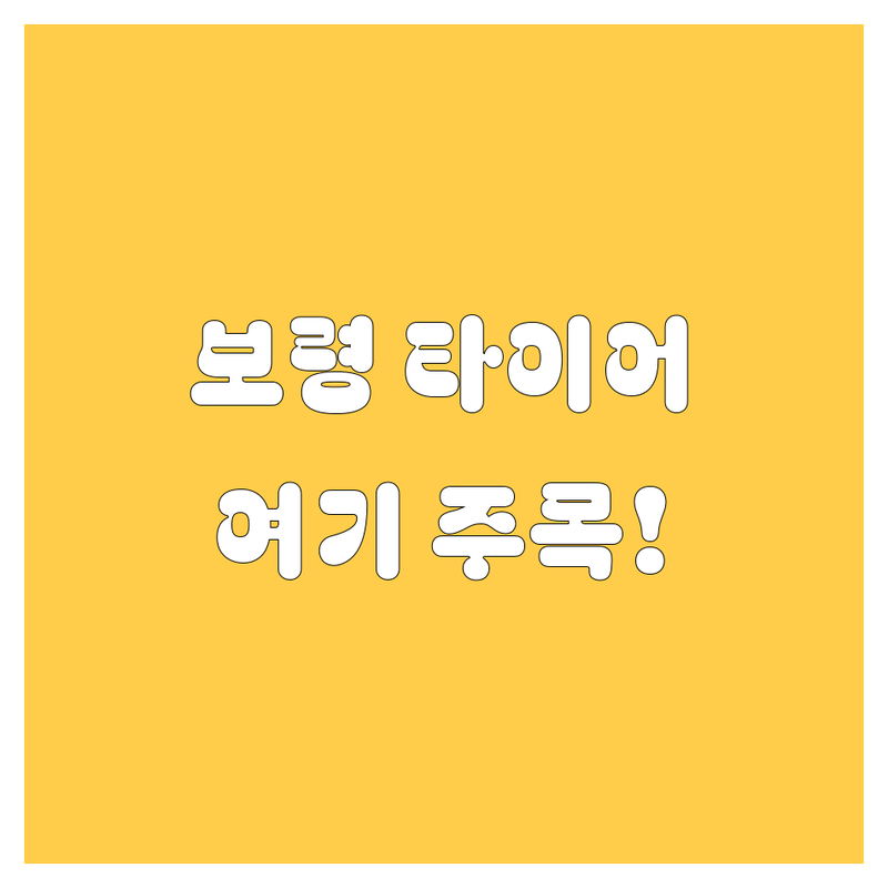 보령에서 타이어 교체할 땐 여기 주목! 🚗💨 2024년 꿀팁 대방출