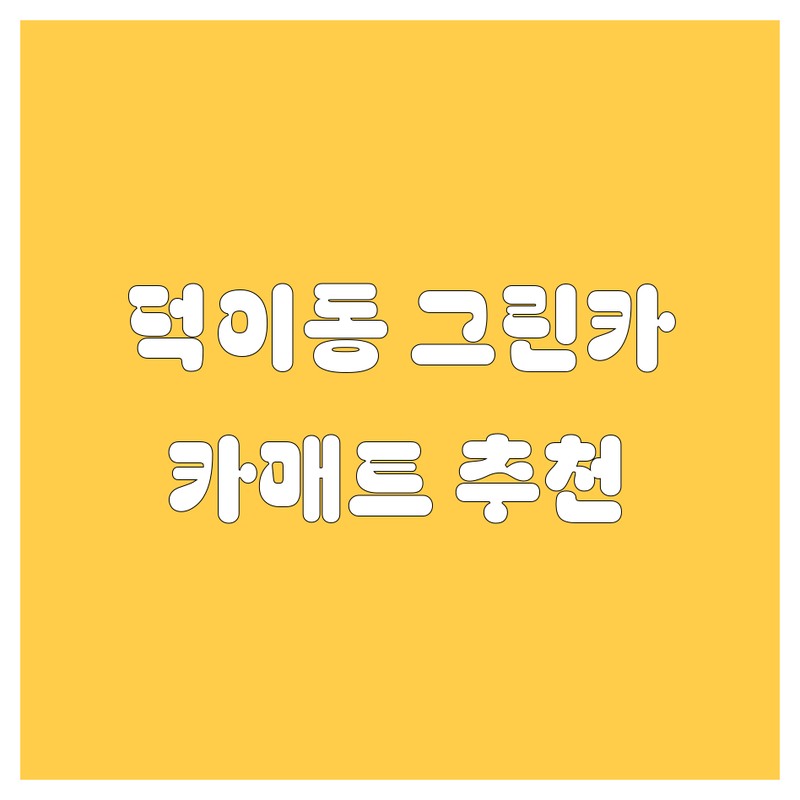 고양시 덕이동 그린카 렌트 완벽 가이드 | 친절한 카매트 전문점 추천
