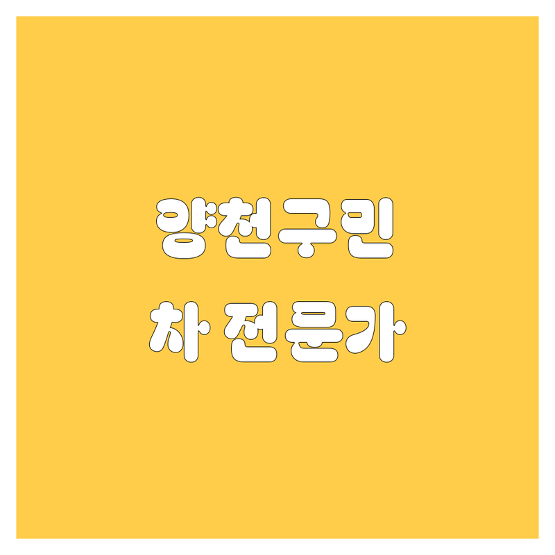양천구 자동차 생활, 🚗 전문가가 도와드립니다!