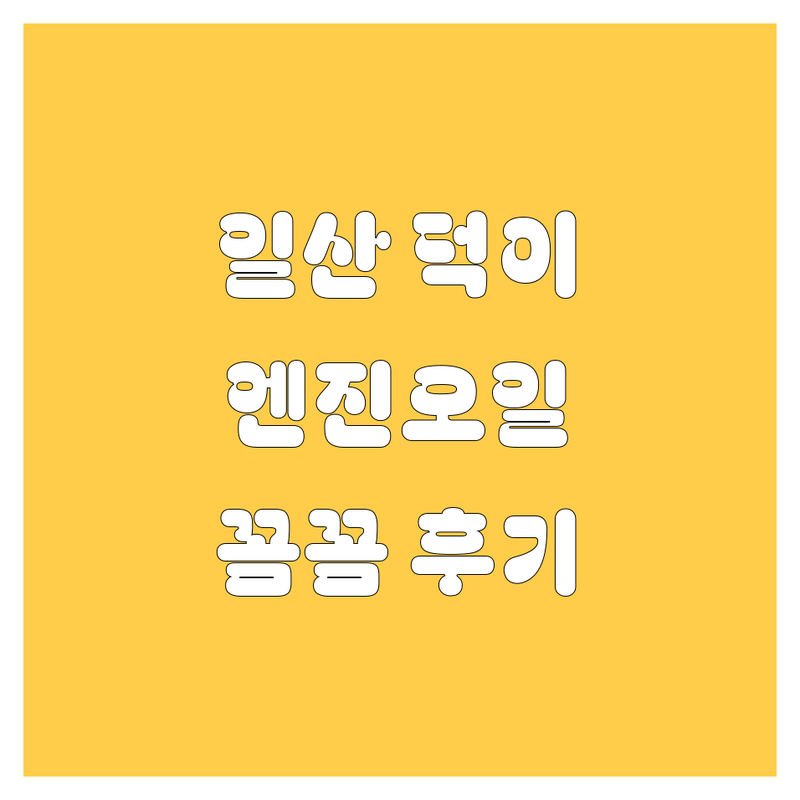 [일산 덕이동] 엔진오일 갈 때 어디로 가야 후회 없을까? | 꼼꼼 후기 포함 🛠️