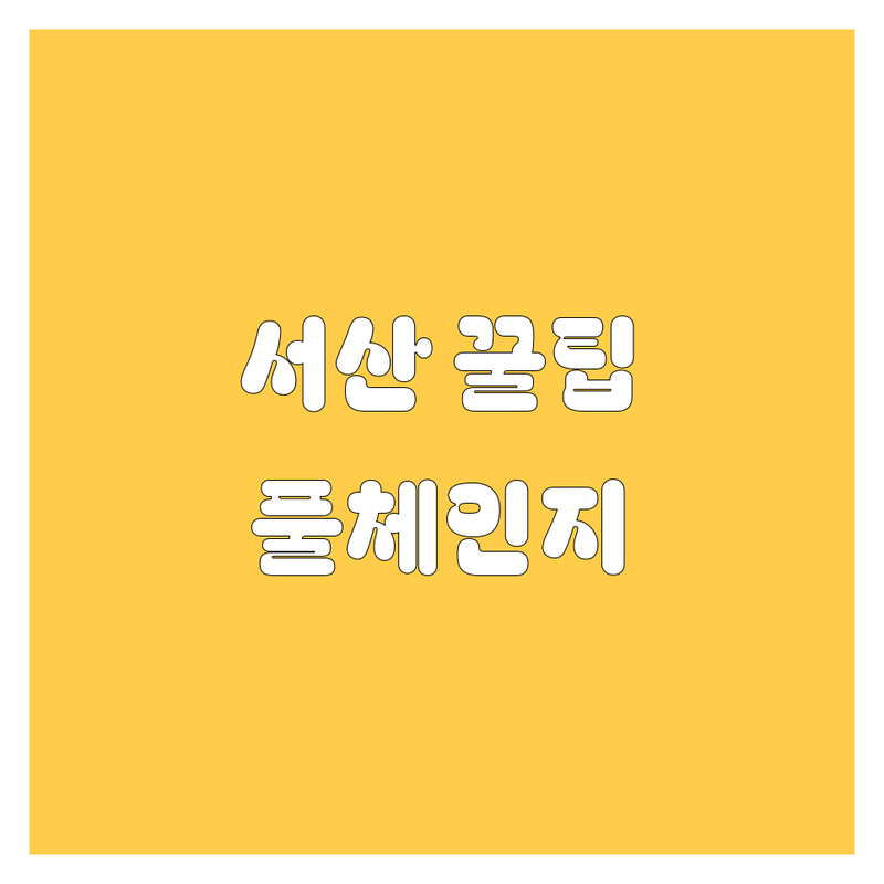 서산 자동차 꿀팁 대방출! 🚗💨 2025년 풀체인지 정보까지 싹 다 알려드림