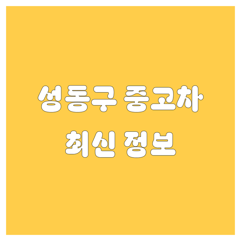 성동구 중고차, 렌트, 신차, 외제차 고민 해결! | 2024년 최신 정보 총정리