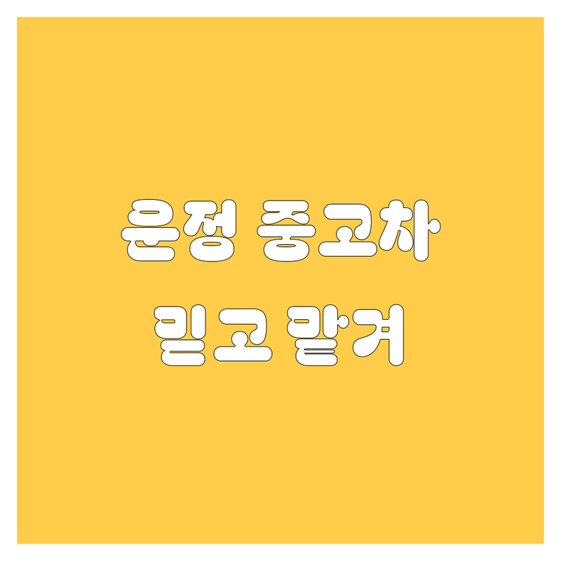 파주 운정신도시 중고차 해결사 중고차매매 추천 | 서비스별 특징 완벽 비교