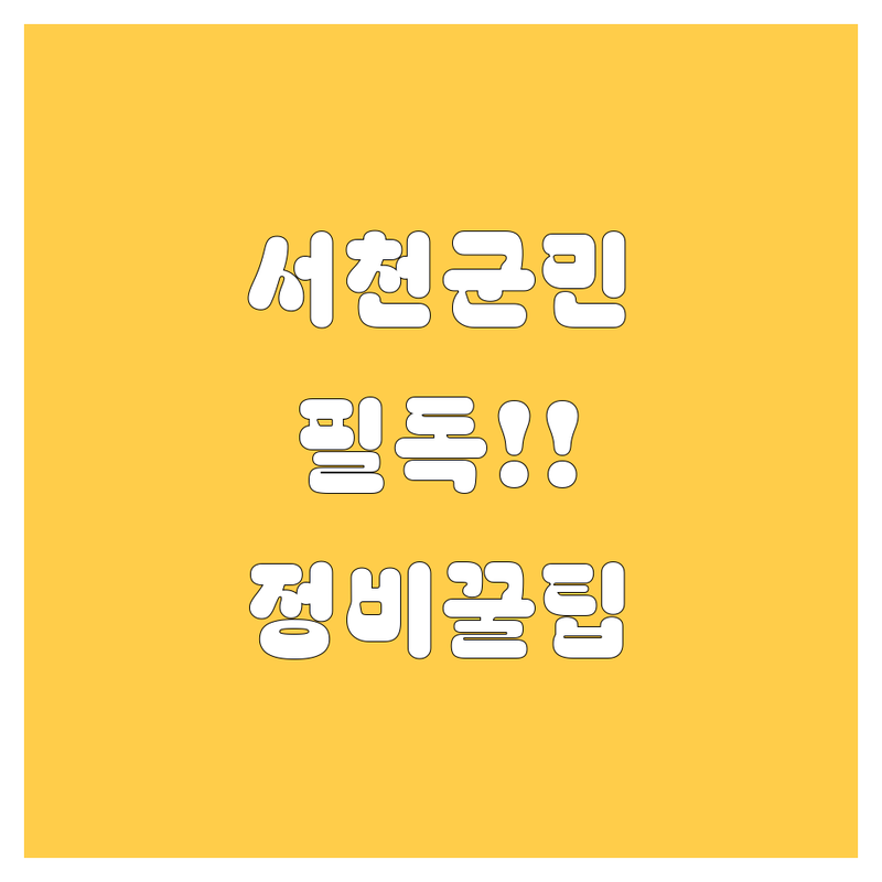 서천군 자동차 서비스 완전정복! 🚗💨 (20대 텐션 영업사원 ver.)