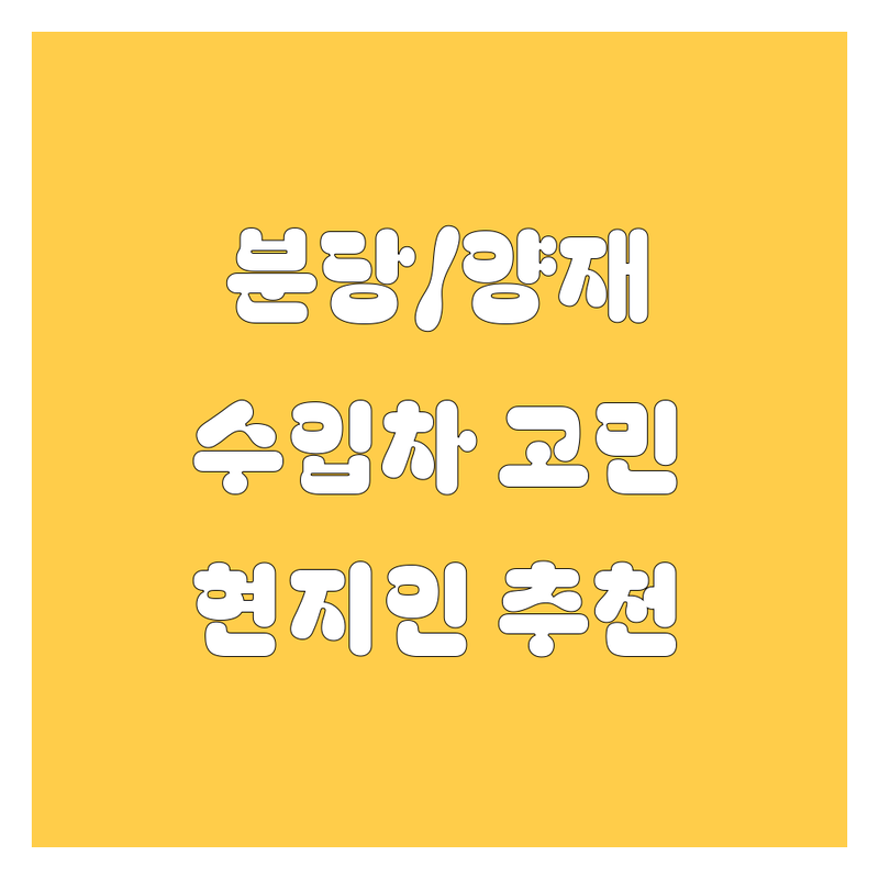 분당구/양재동에서 자동차 어디로 갈까? 수입차 고민 해결! | 현지인 추천 베스트