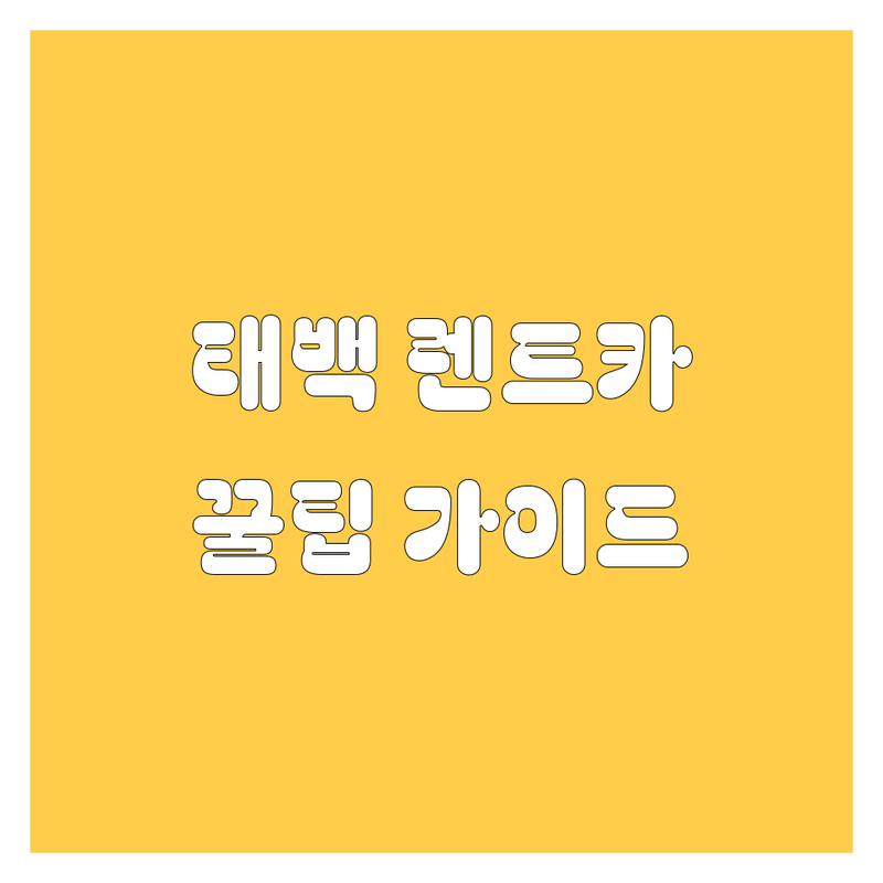 렌트카 걱정 없는 태백시 렌트카 가이드 | 상황별 최적의 선택법