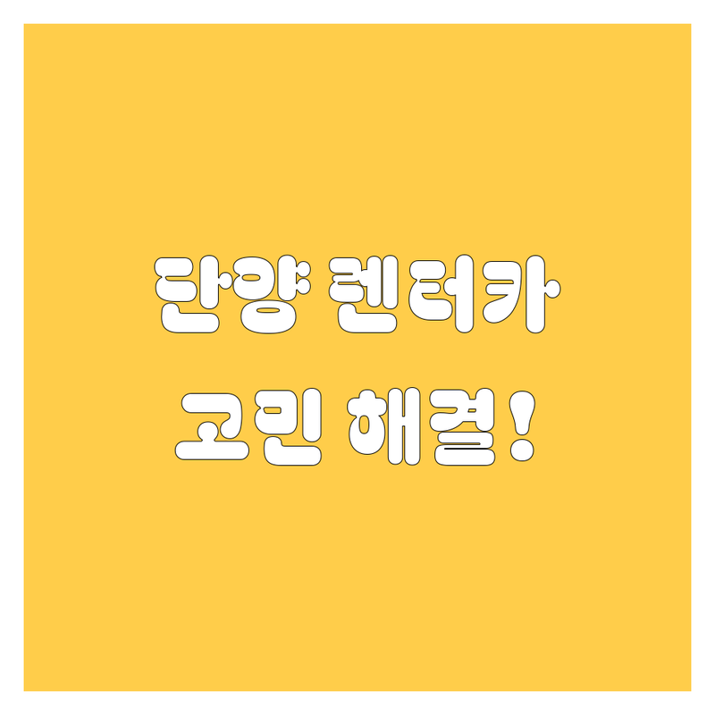 단양 렌터카 고민 해결! 전문가가 알려주는 선택 팁