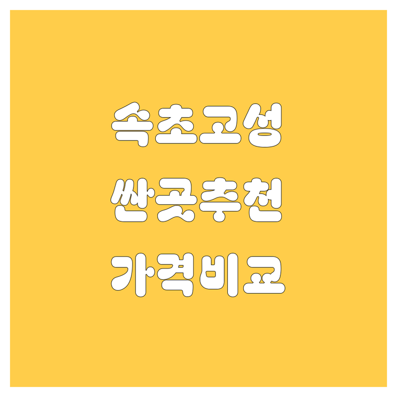 속초 고성 자동차 주유소 운전학원 중고차 저렴한 곳 가격싼 곳 업체 추천 | 운전면허 기름값 매매 비용 가격 잘하는 곳 | 셀프 주유 차량 관리 매물 확인 | 친절한 서비스 편리한 주차 | 비교표 후기 전화번호
