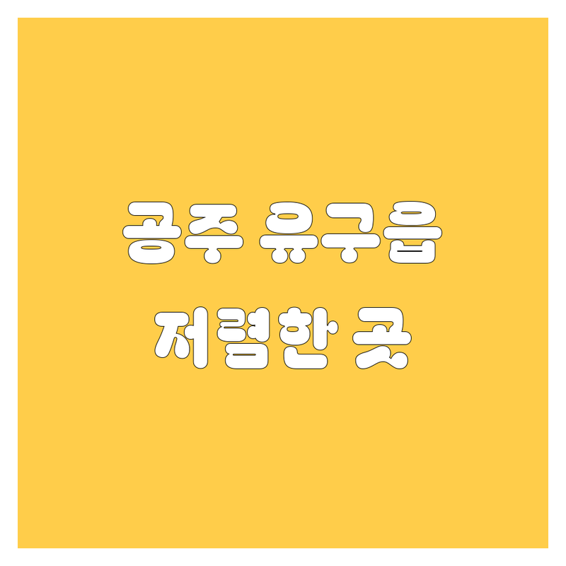 공주시 유구읍 자동차 저렴한 곳 업체 추천 | 중고차 장기렌트 주유 비용 가격 잘하는 곳 | 신차 중고차 매입 수출 주유소 | 노후차량 무심사 즉시출고 | 친절상담 빠른처리