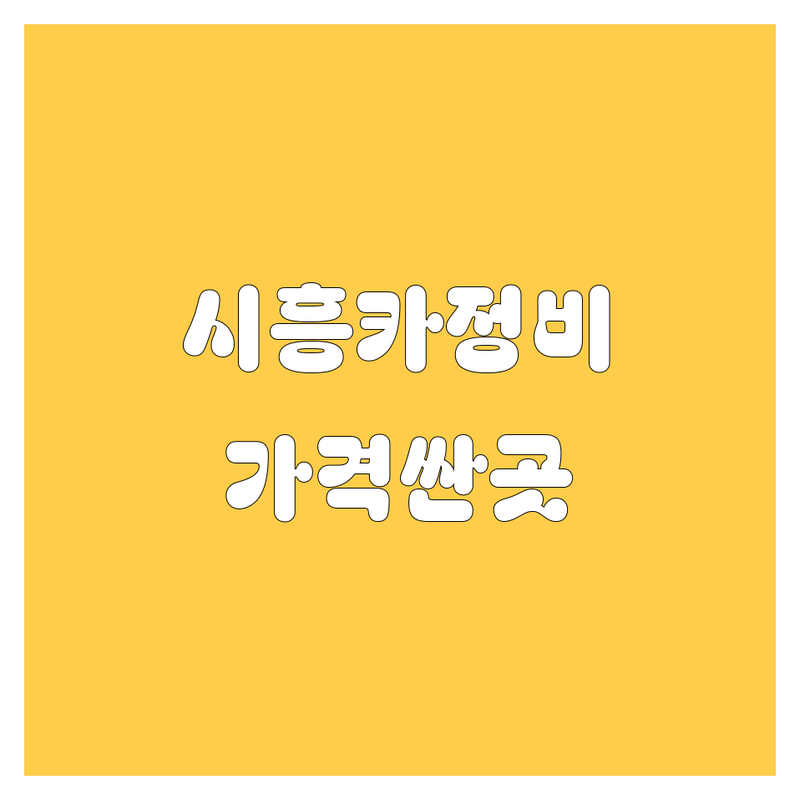 시흥 자동차 서비스 저렴한 곳 가격싼 곳 업체 추천 | 배곧동 정왕동 중고차매매 주유소 운전학원 | 내차관리 스팀세차 유리복원 비용 가격 잘하는 곳 | 사고이력조회 면허학원 세차장