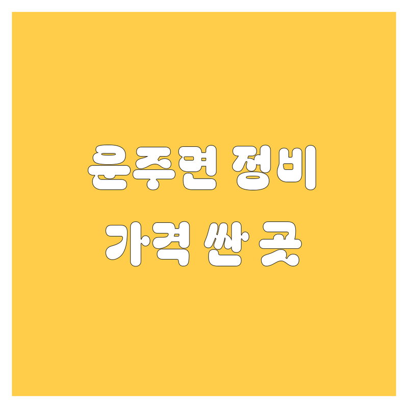 완주군 운주면 자동차 정비 저렴한 곳 업체 추천 | 카센터 수리 비용 가격 잘하는 곳 | 타이어 교체 엔진오일 브레이크 | 출장빵구 긴급출동 주유소 | 차량 관리 점검 비용