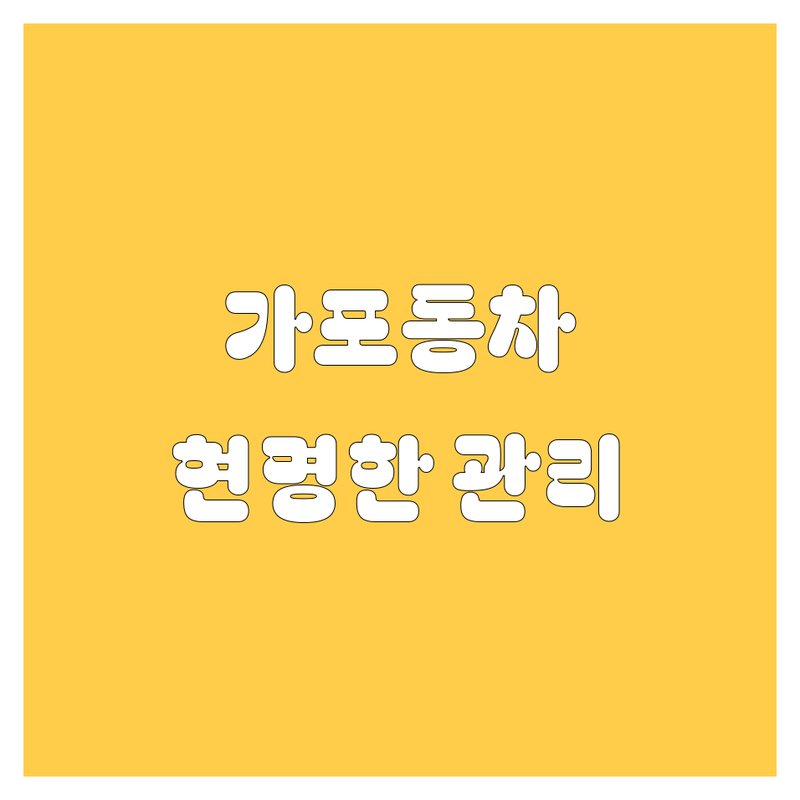 경남 창원시 마산합포구 가포동 자동차 관련 업체 추천 | 스팀세차 잘하는 곳 | 중고차 저렴한 곳 | 자동차 부품 제조 전문 | 방문세차 예약 | 차량 관리 팁 | 내 차 관리 현명하게 하기